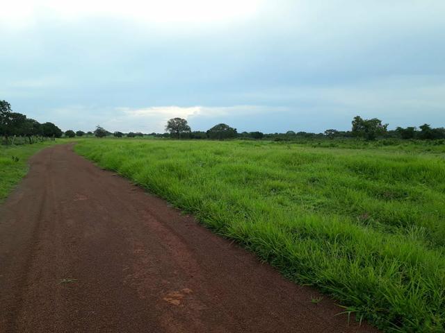Fazenda - Foto 18