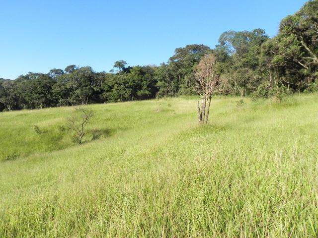 GE construa seu sonho em um de nossos terrenos em Mairiporã - Foto 2