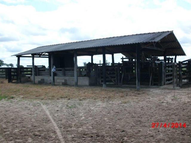 Fazenda 4400 hectares divisa com Goiás, a 500 km de Cuiabá e 500 km de Goiânia! PECUÁRIA! - Foto 13