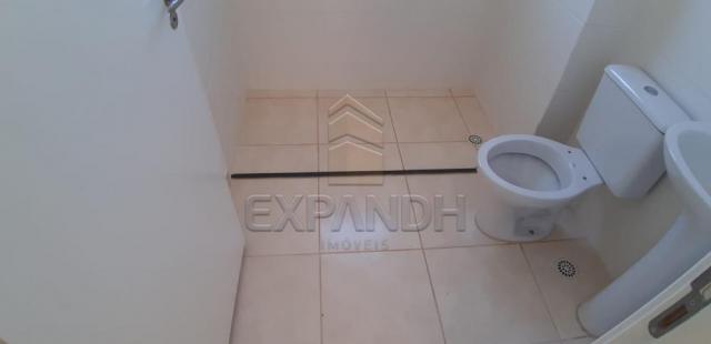 Apartamento para alugar com 2 dormitórios em Jardim veneto ii, Sertaozinho cod:L1376 - Foto 4
