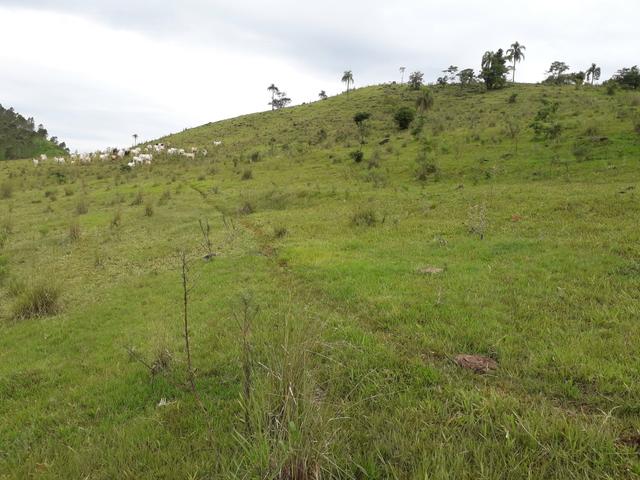 Fazenda