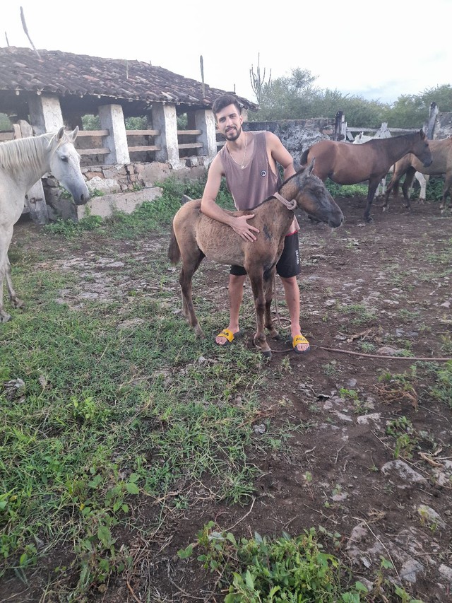 Vende-se Egua com potro