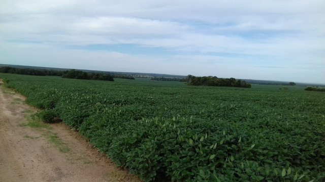 Fazenda em Ribeirão Cascalheira - MT - Foto 8