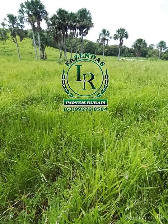 Chácara/Fazenda 11 alqueires  Próximo a Palmas - Foto 5
