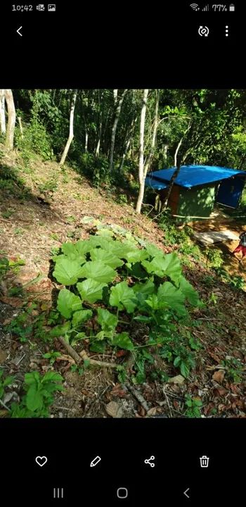 foto - Duque de Caxias - Doutor Laureano