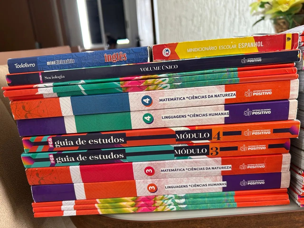 32 Livros Positivo - 1ºAno Novo Ensino Médio - Foto 4
