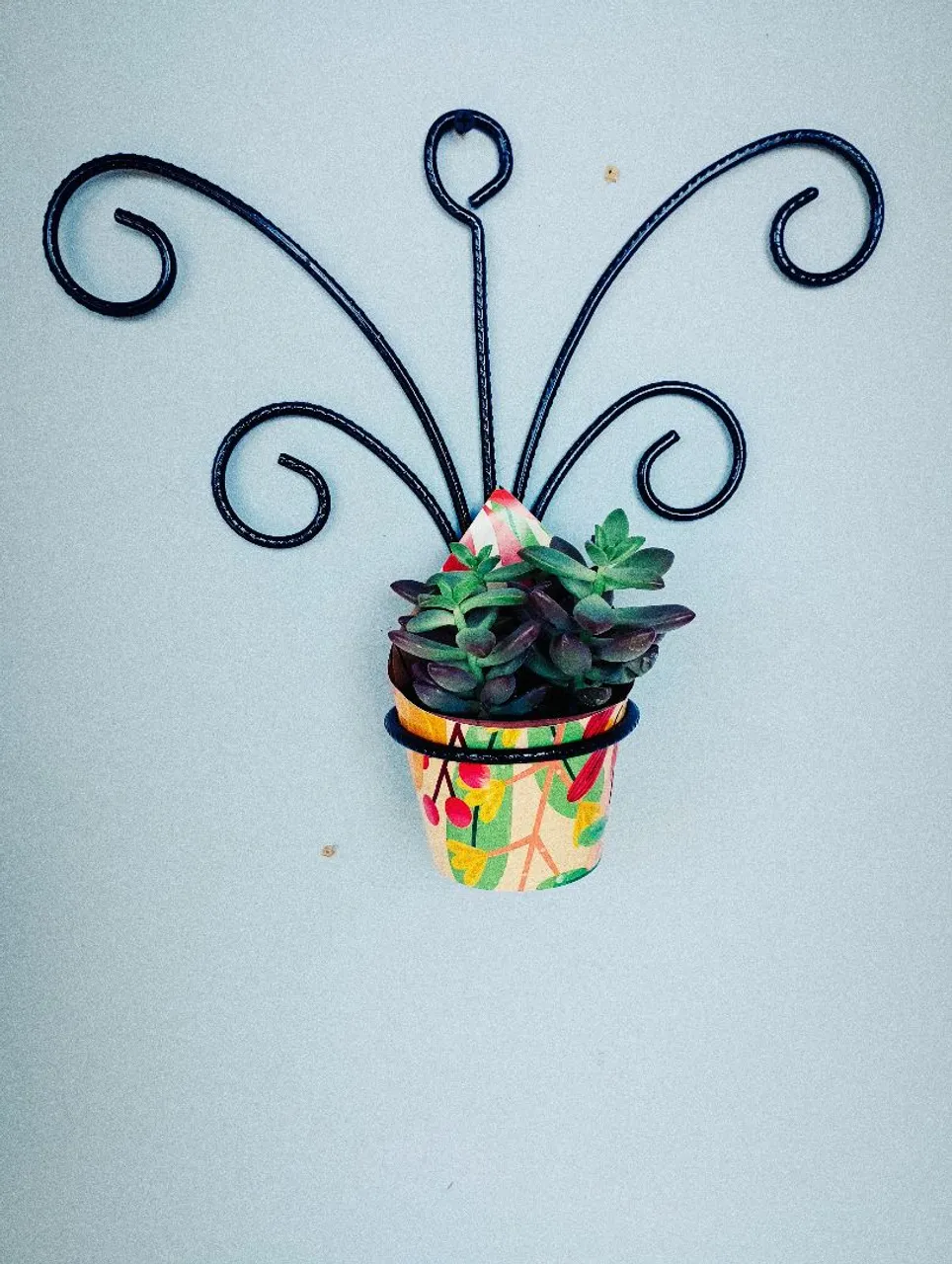 Suporte de parede borboleta para vaso de planta