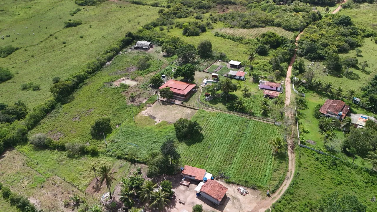 Chácara à Venda - 2 Hectares