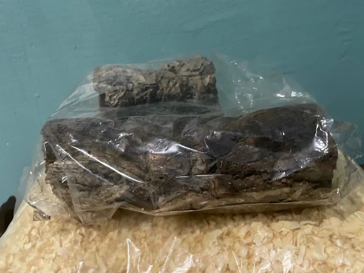 Terrário para Hamster  - Foto 5