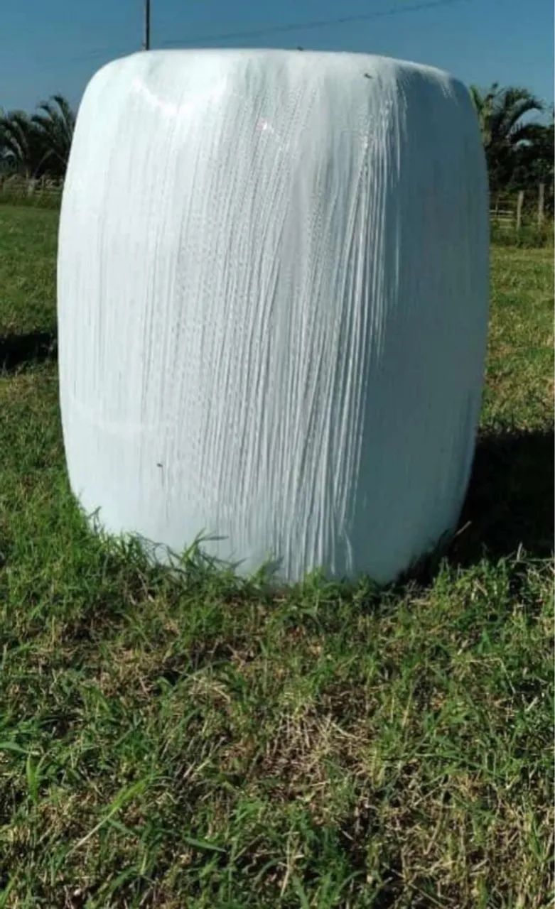 Vendo feno tipo Apré secado entrego sem custo de frete - Foto 6