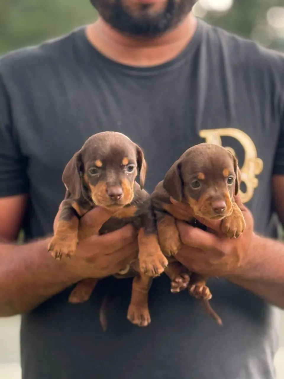 O cheirinho de filhote que faltava na sua vida!