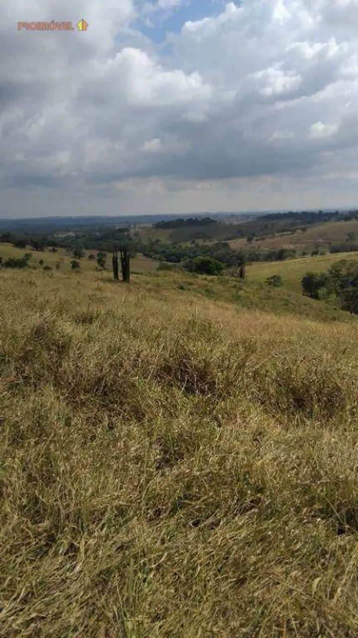 Área Rural, Região de Cesário Lange SP