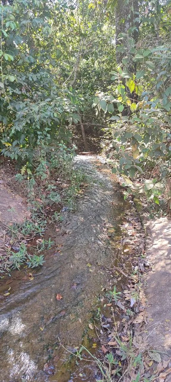Chácara em Bela vista 