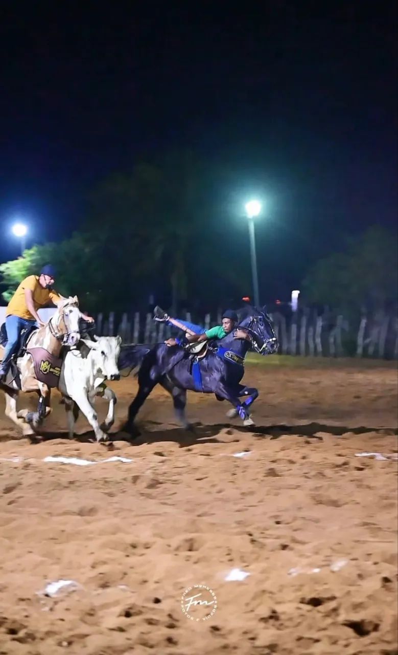 Cavalo de direita  - Foto 3