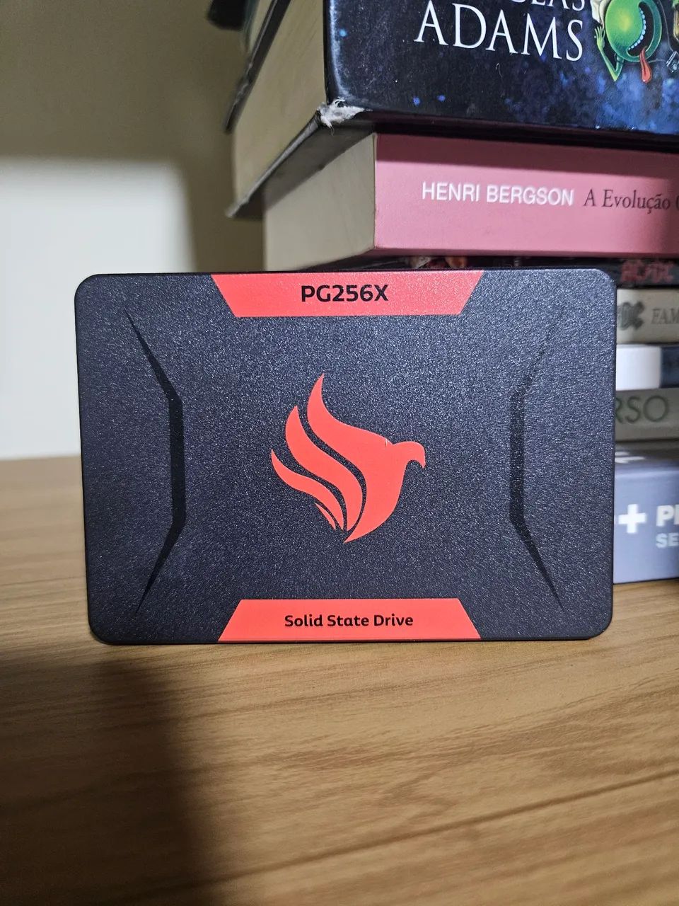 SSD PG256x 256GB64529511485314120