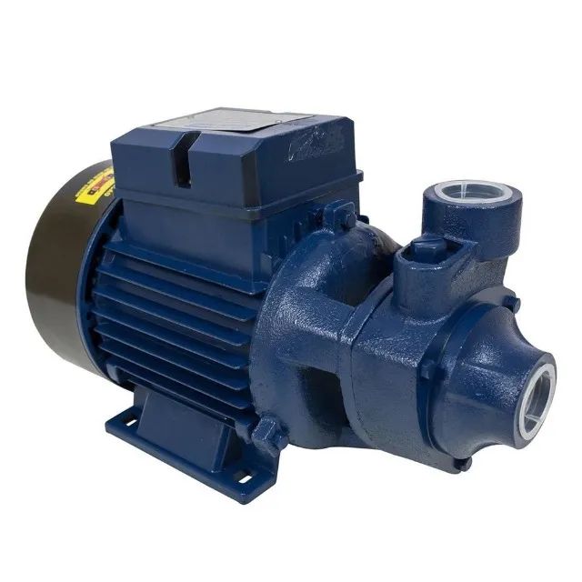 Bomba Dágua Periférica 1Cv Bivolt ICS-100AB Eletroplas - Foto 4