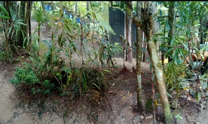 Venda de terreno de um quintal e também aceito troca do terreno pela uma casa