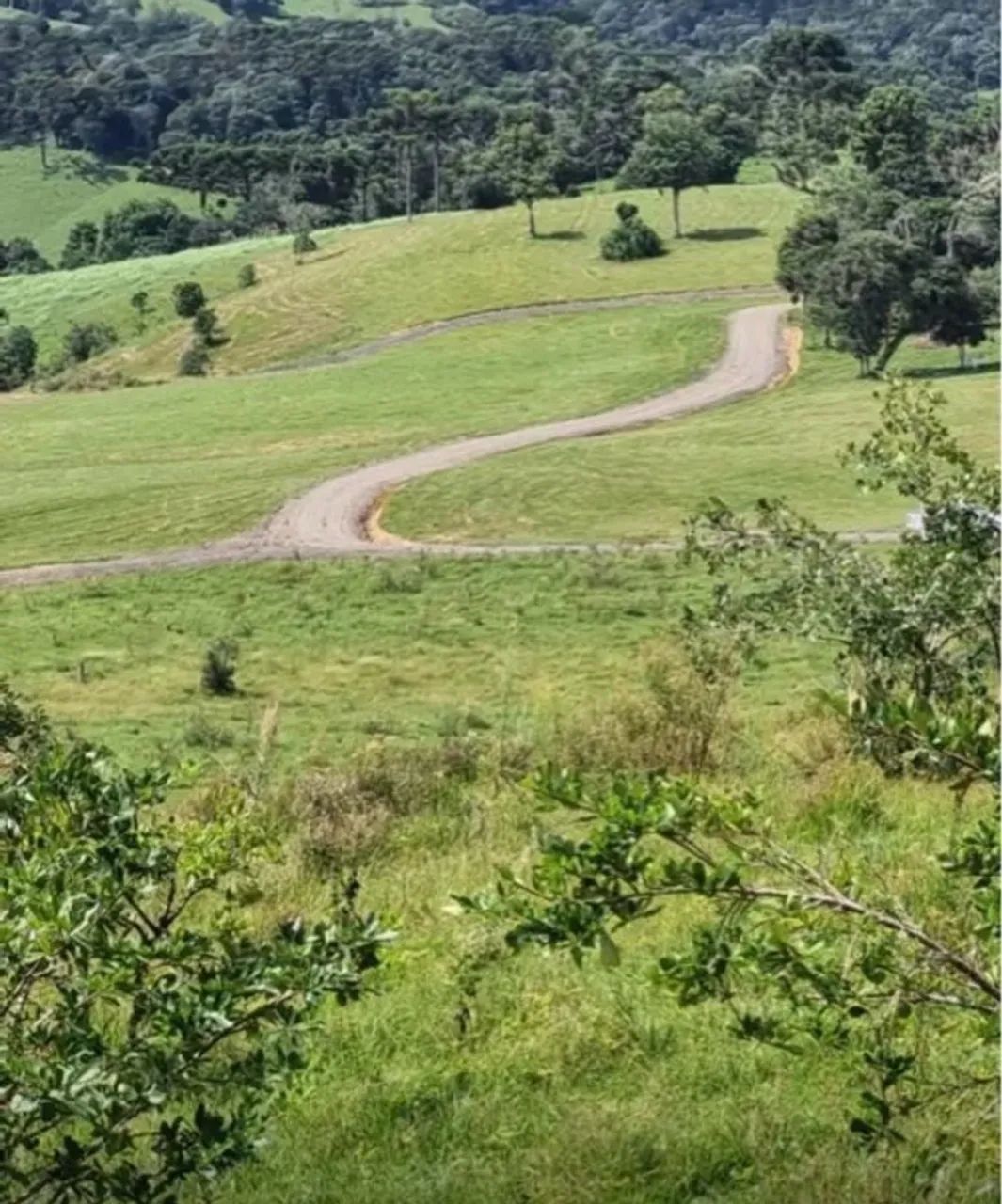 Chácaras na Serra Catarinense - Rancho Queimado