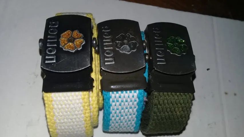 lote com mais de 250 cinto Feminino Lona Fivela tudo por 50 reais