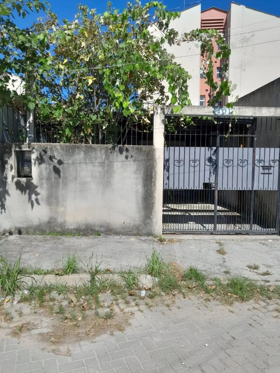 Foto - Porto Alegre - Restinga