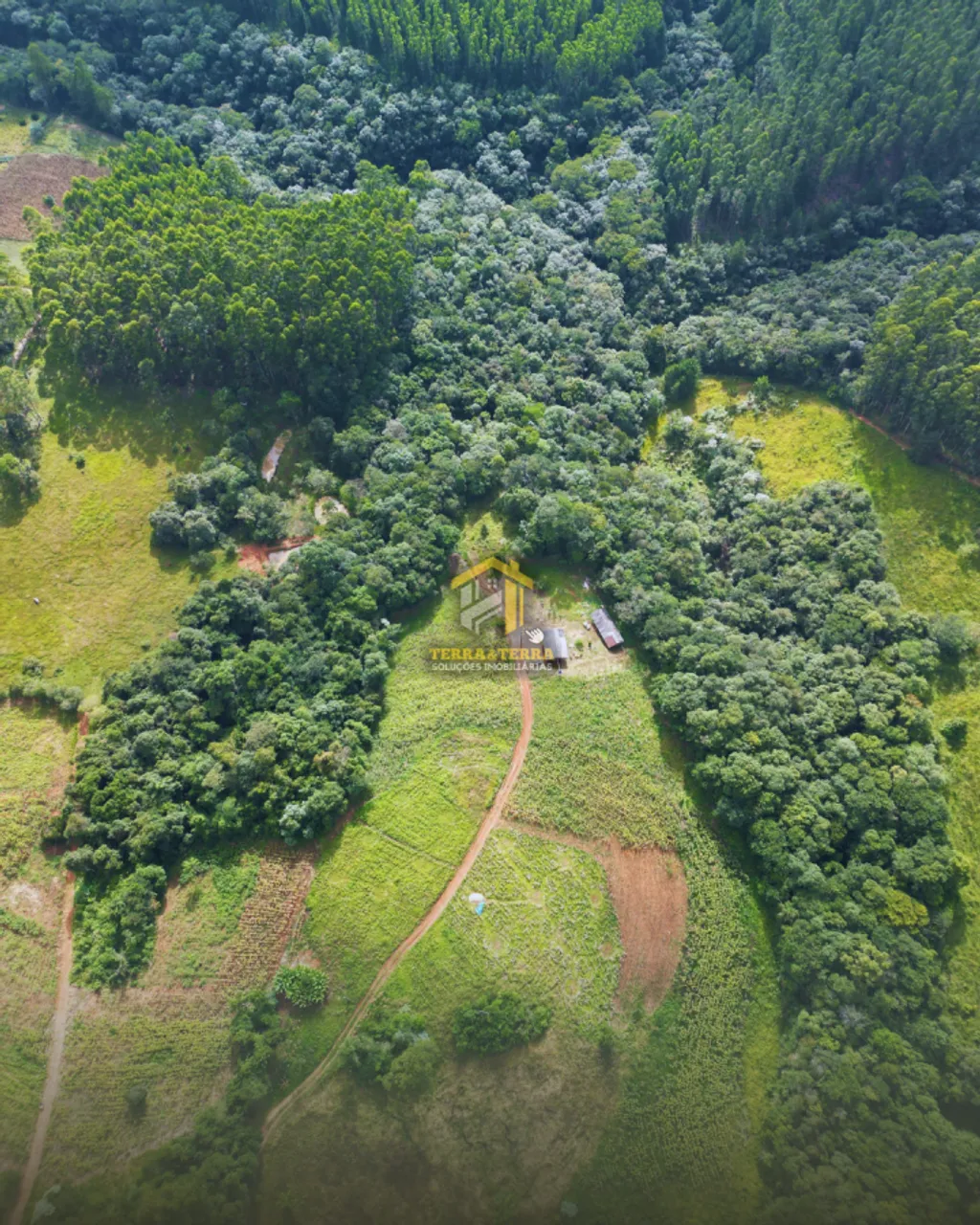 Área Rural para Venda em Imbaú, Centro