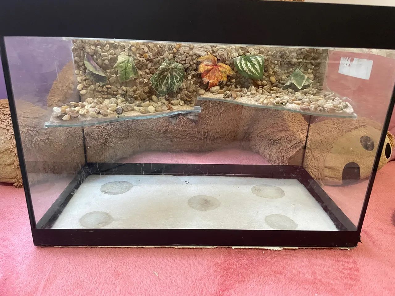 Aquaterrario para tartaruga de vidro 20L com decoração - Foto 5