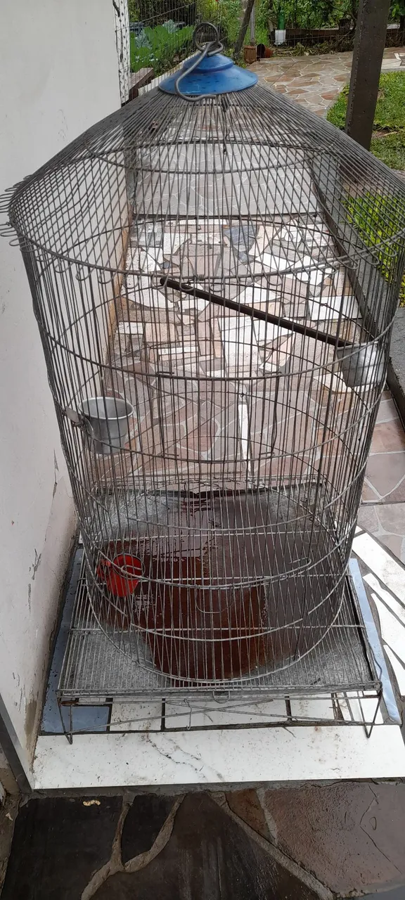 Gaiola grande para aves - Ótimo estado