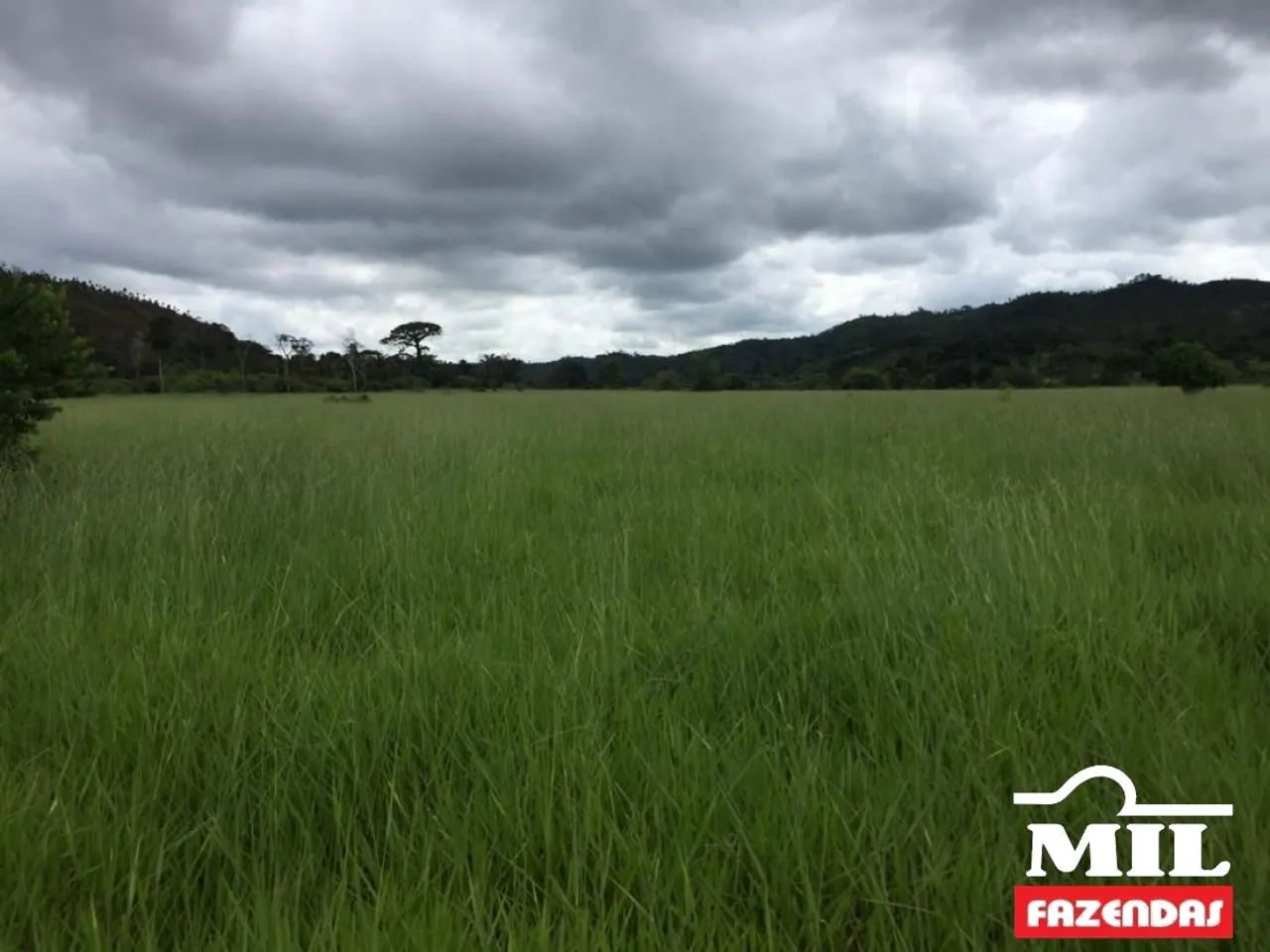 Fazenda em Confresa-MT. . 505 Alq. (2.444 Há) - Foto 4