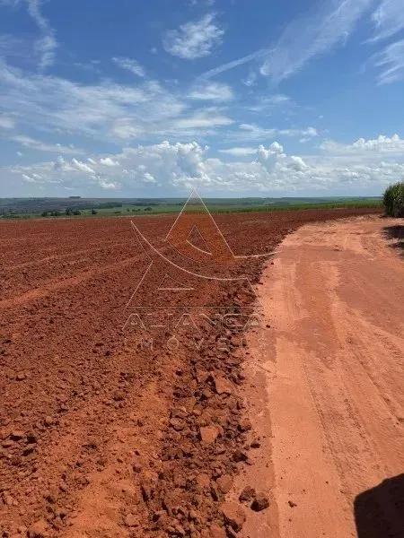 Fazenda - Gavião Peixoto - Zona Rural