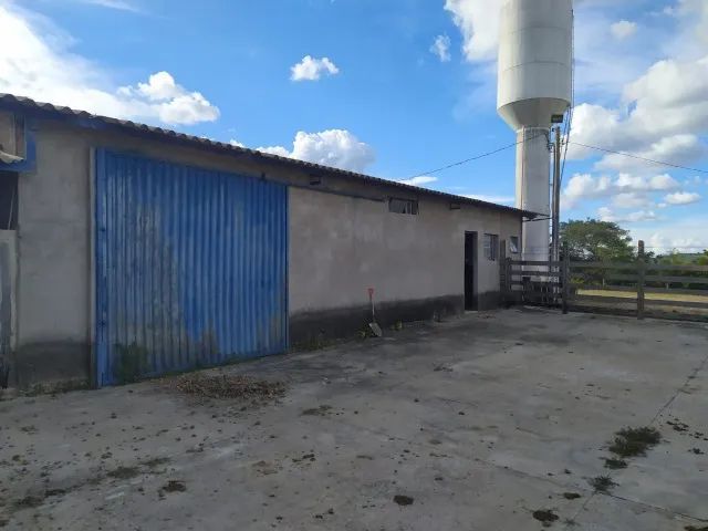 Fazenda 220 hectares  - Foto 3