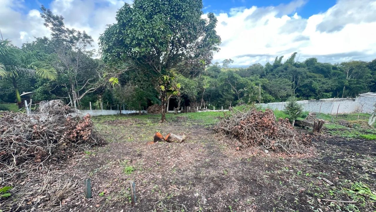 Terreno em chã grande  - Foto 5
