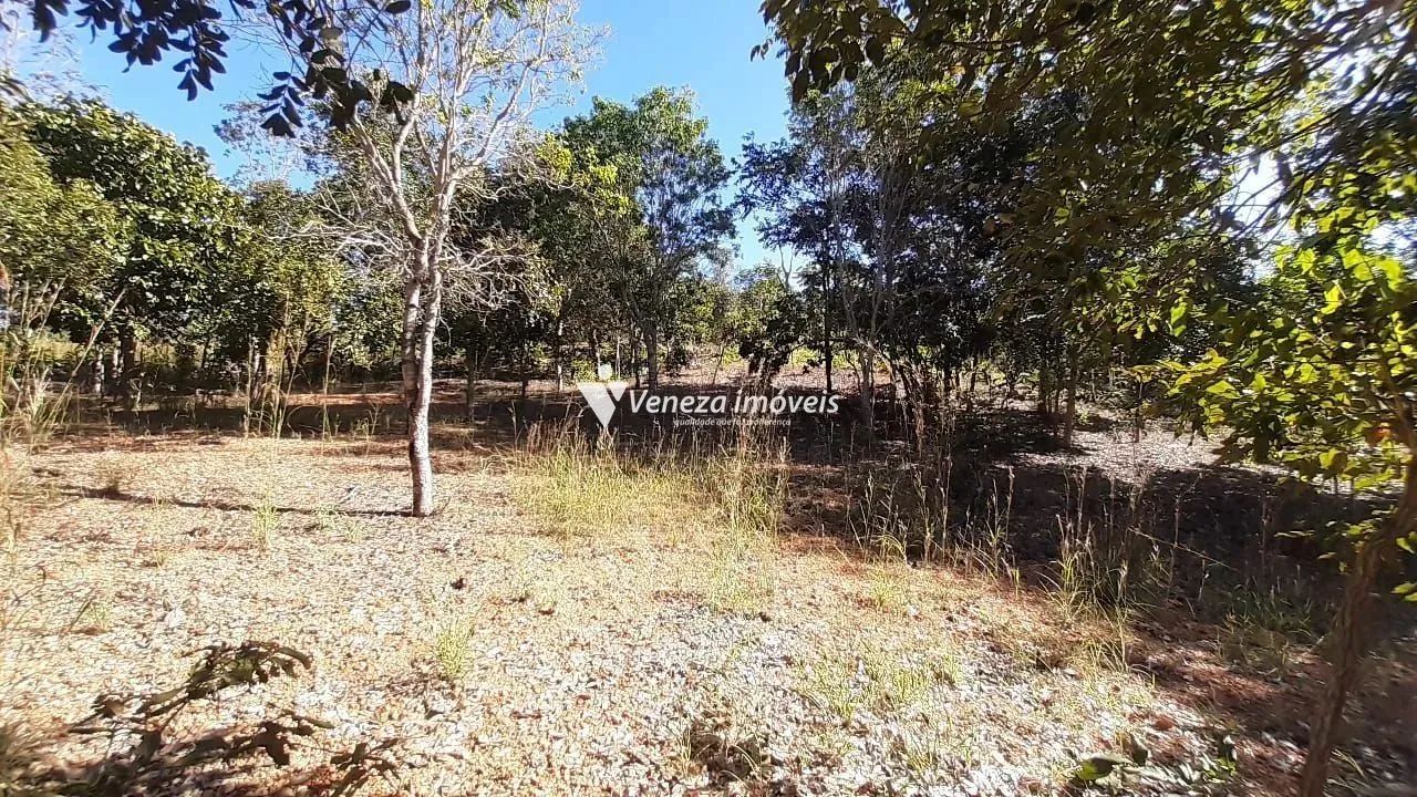 Terreno no povoado nova olinda para venda - Foto 2