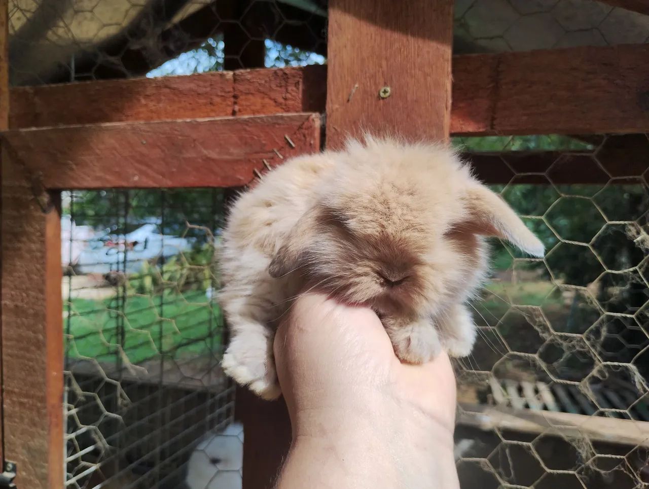 Coelho Fuzzy Lop
