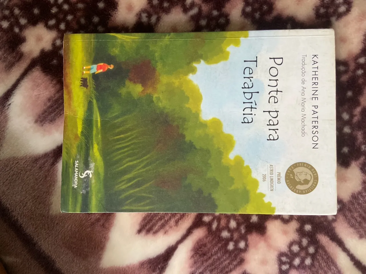 Ponte para Terabítia - Katherine Paterson