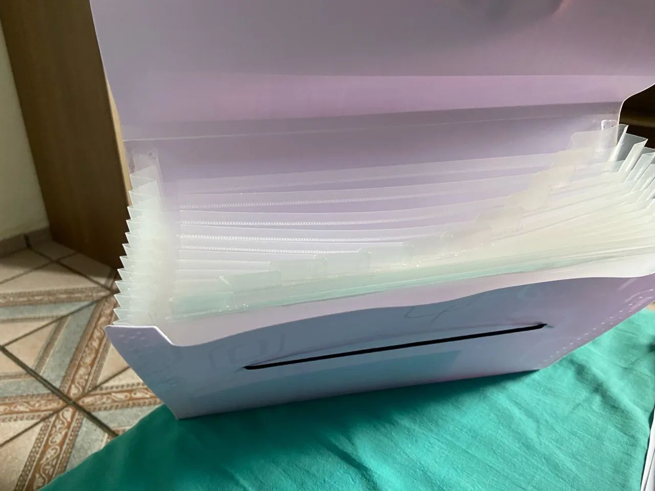 Pasta Sanfonada - Foto 2