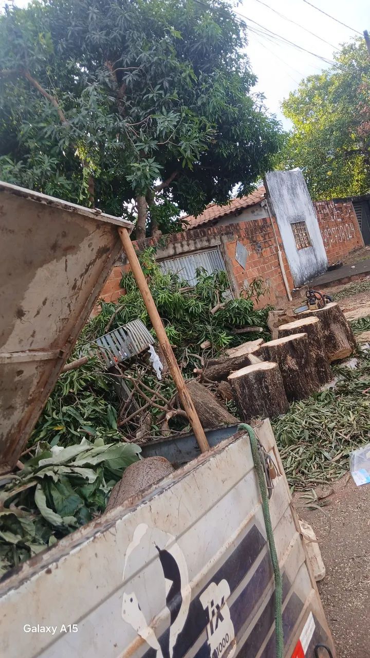 Podar de árvores e limpeza em geral  - Foto 5