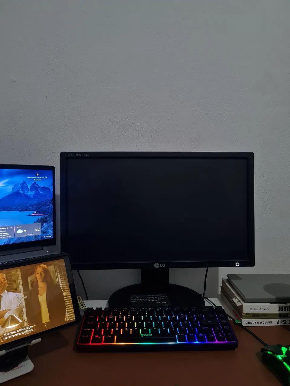 MONITOR WIDESCREEN LG 20"