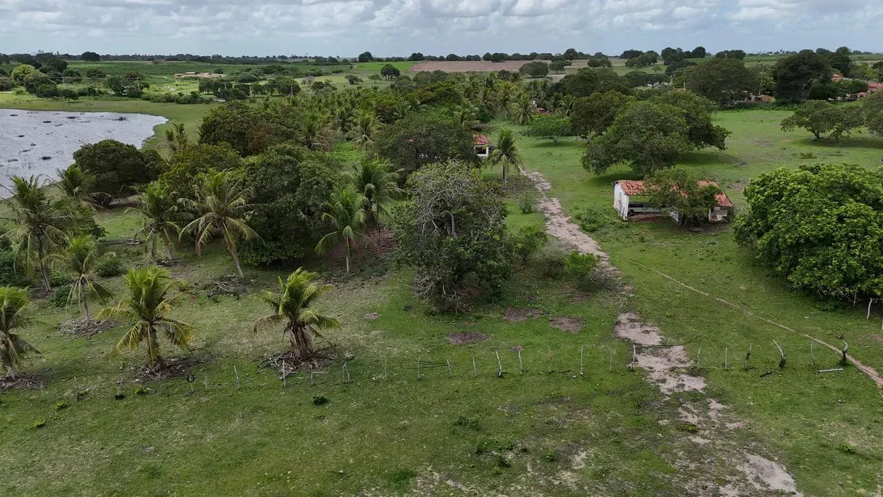 fazenda com 19.9 hectares próximo a lagoa salgada um paraíso de área - Foto 5