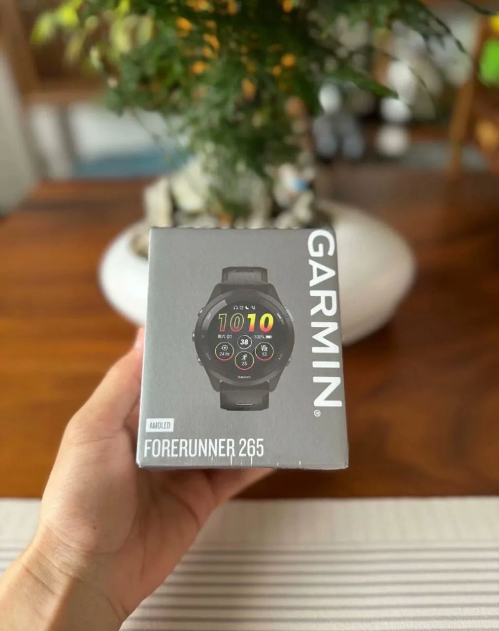 Garmin 265