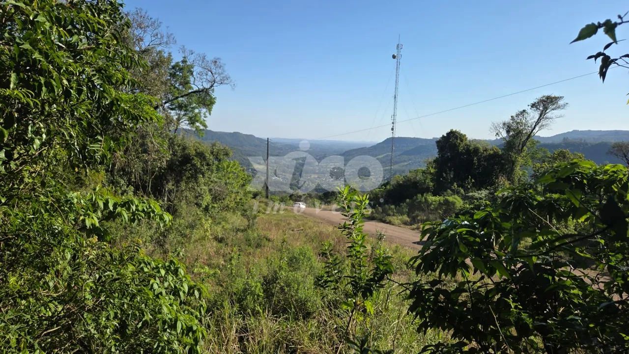 SITIO COM LINDA VISTA PARA PICADA CAFÉ - Foto 5
