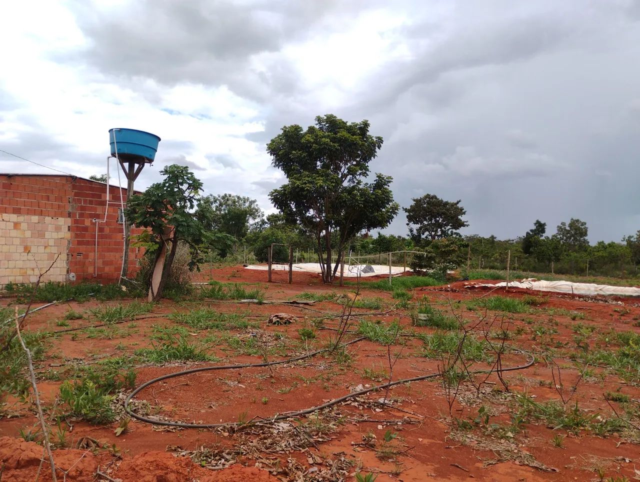 Venda de chácara  - Foto 4