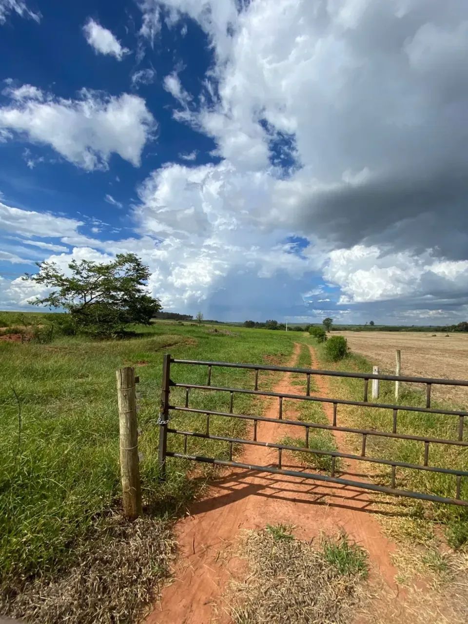 OPORTUNIDADE RURAL EM CIANORTE - Foto 5