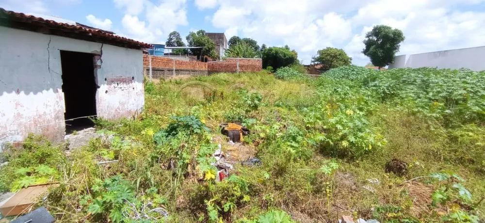 Terreno em rua pública, no Bairro América. (Vizinho a empresa Limpa fossa Moderna) - Foto 4