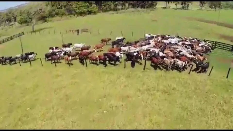 Fazenda top em Minas Gerais  - Foto 5