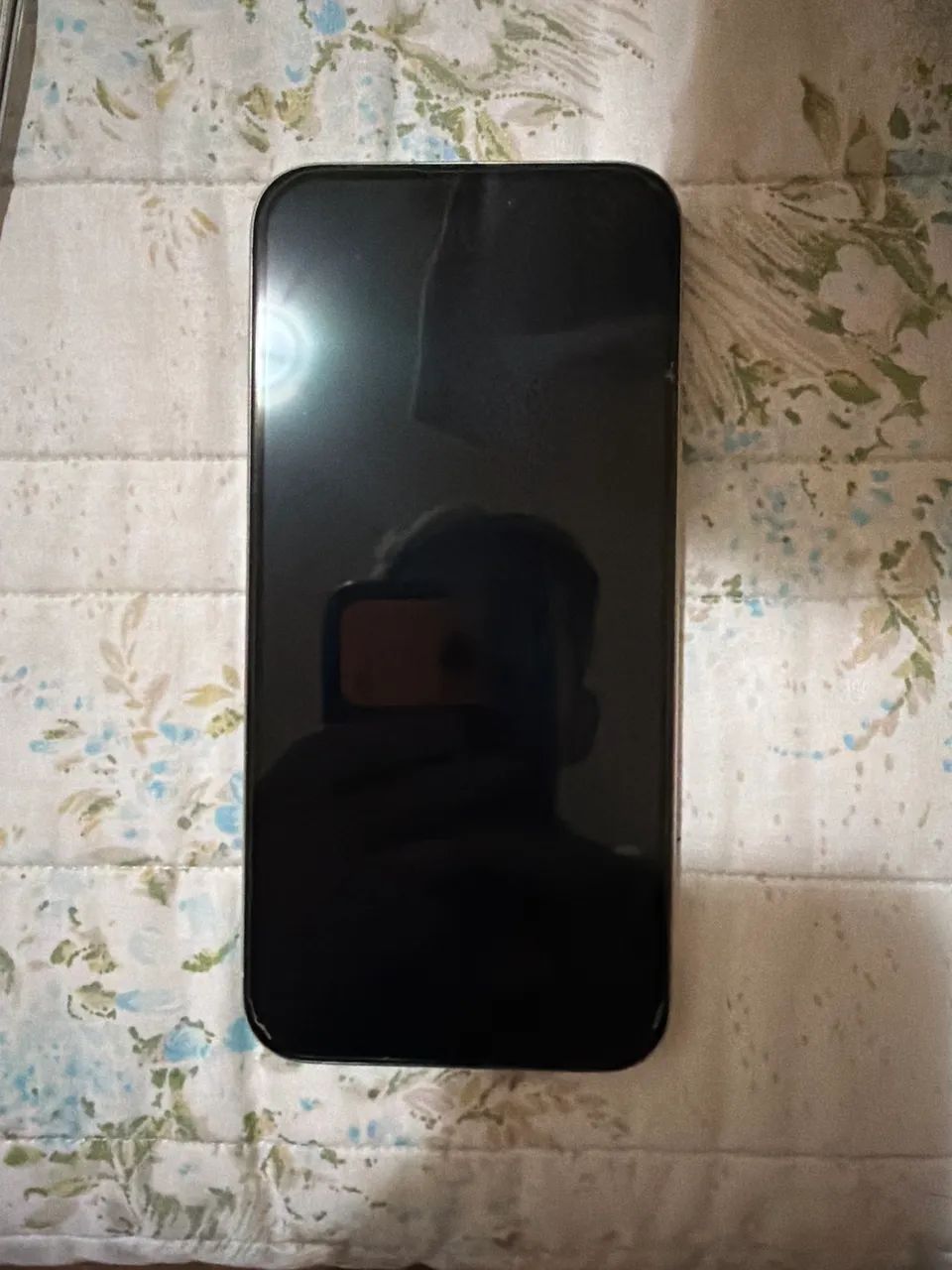 iPhone 15 pro Max 256g branco 