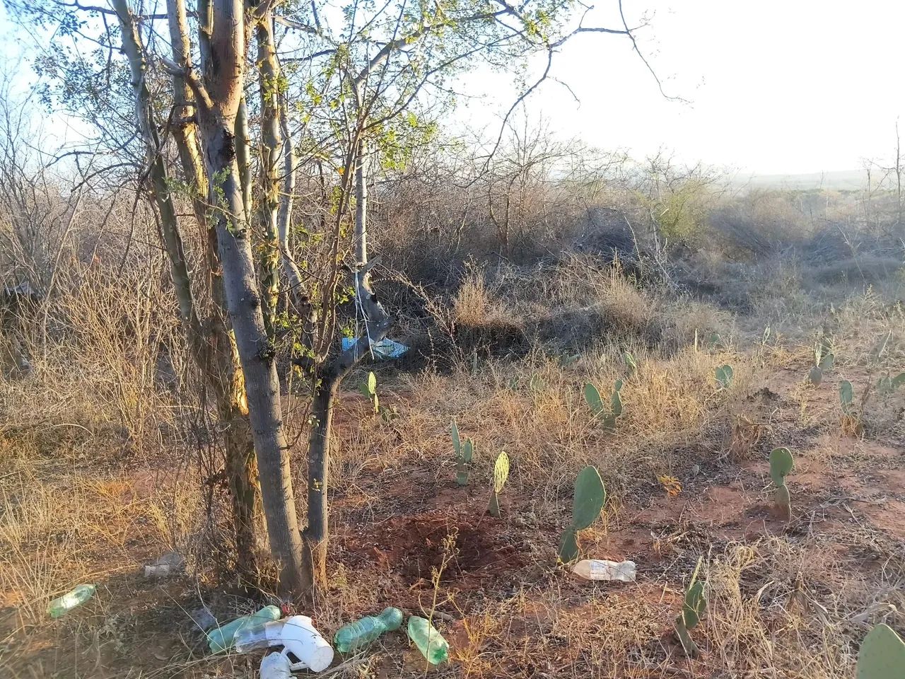 Terreno tremedal - Foto 5