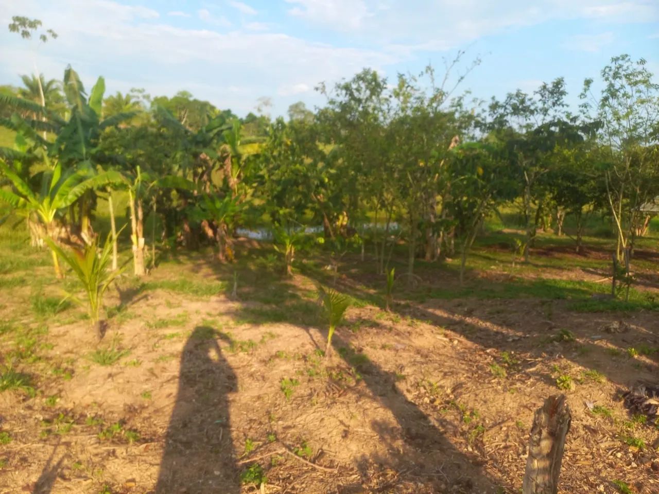 Vendo chácara medindo 40x70m - Foto 5