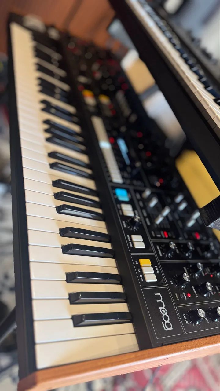 Moog Muse - Foto 3