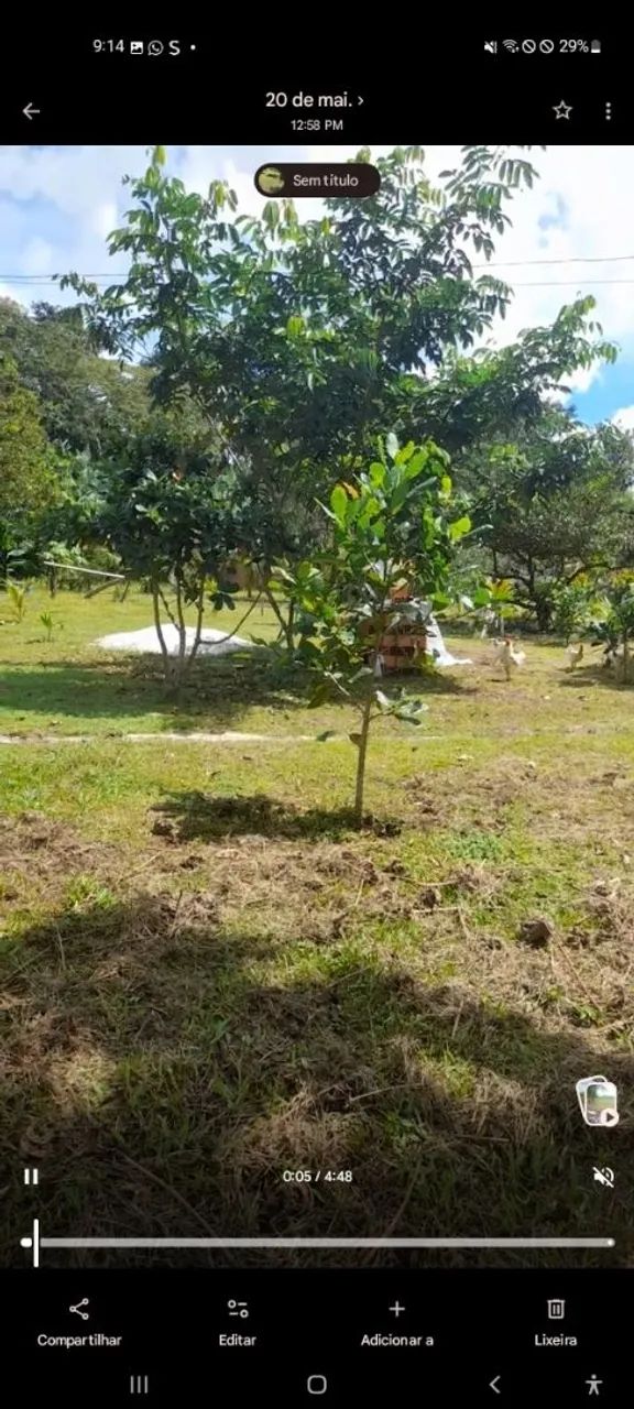 Casa e sítio  - Foto 2