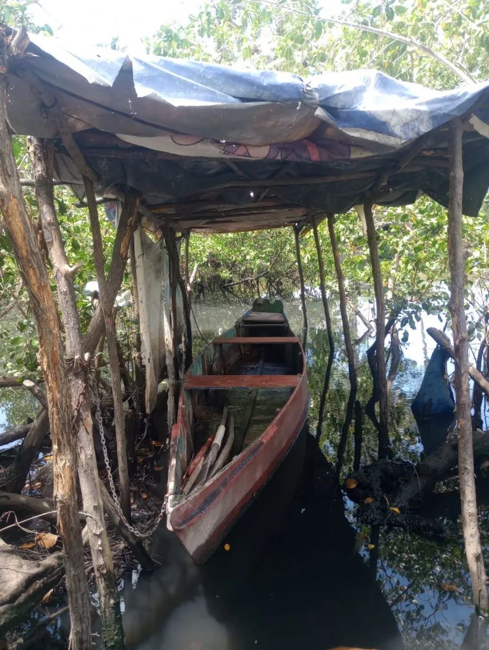 Barco com motor de poupa 